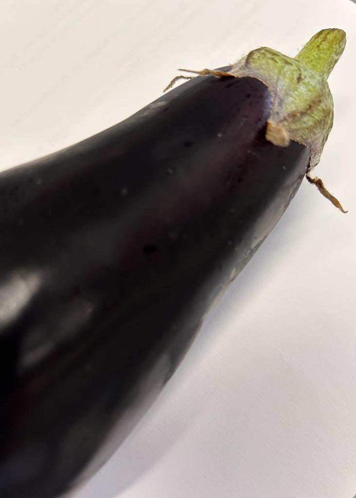 Aubergine