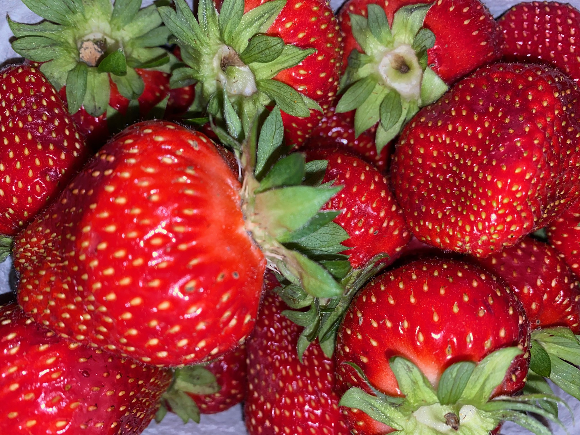 Erdbeeren